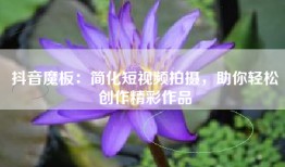 抖音魔板：简化短视频拍摄，助你轻松创作精彩作品