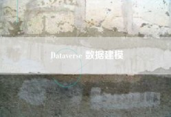 Dataverse 数据建模