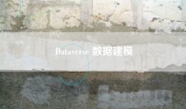 Dataverse 数据建模
