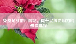 免费企业推广网站，提升品牌影响力的最佳选择