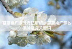 百度推广删除方法解析，百度推广怎么删除重复关键词