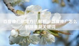 百度推广删除方法解析，百度推广怎么删除重复关键词