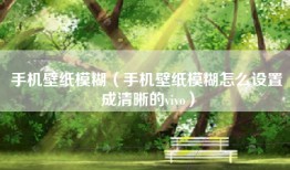 手机壁纸模糊（手机壁纸模糊怎么设置成清晰的vivo）