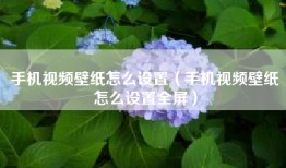 手机视频壁纸怎么设置（手机视频壁纸怎么设置全屏）