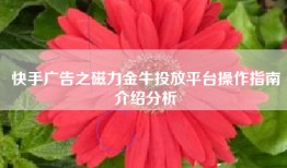 快手广告之磁力金牛投放平台操作指南介绍分析