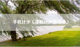 手机计步（手机计步器原理）