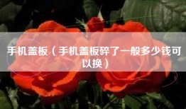 手机盖板（手机盖板碎了一般多少钱可以换）