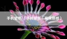 手机壁纸i（手机壁纸ins高级质感）