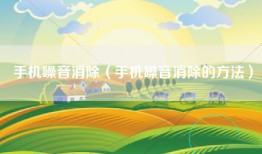 手机噪音消除（手机噪音消除的方法）