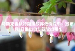 马斯克否认特斯拉放弃低价汽车，宣布8月8日推出自动驾驶出租车