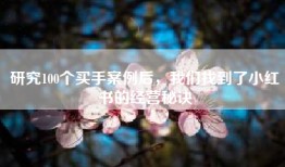 研究100个买手案例后，我们找到了小红书的经营秘诀