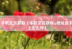 手机正在获取（手机正在获取ip地址连不上怎么办）