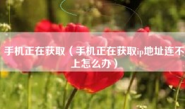 手机正在获取（手机正在获取ip地址连不上怎么办）