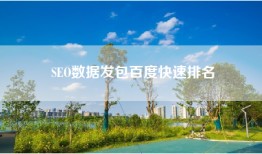 SEO数据发包百度快速排名