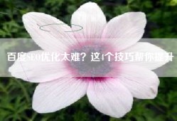 百度SEO优化太难？这4个技巧帮你提升