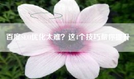 百度SEO优化太难？这4个技巧帮你提升