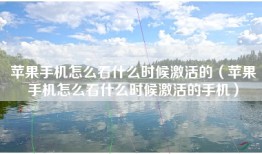 苹果手机怎么看什么时候激活的（苹果手机怎么看什么时候激活的手机）