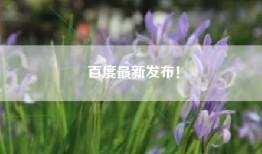 百度最新发布！