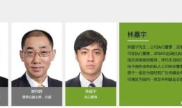 香港最准资料免费公开，深度解答解释落实_iPhone89.29.12