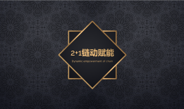 适合保健产品的四大商城模式
