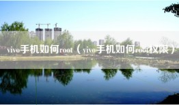 vivo手机如何root（vivo手机如何root权限）