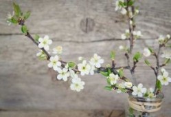 端午节是几月几日2024年 2024年6月10日端午节这天探病好吗