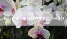 报刊广告方案,导向解体季父：46K30.53