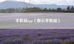 手机站app（新云手机站）