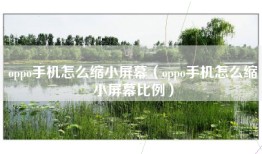 oppo手机怎么缩小屏幕（oppo手机怎么缩小屏幕比例）
