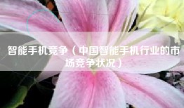 智能手机竞争（中国智能手机行业的市场竞争状况）
