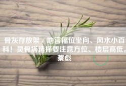 骨灰存放架／地宫福位坐向、风水小百科！灵骨塔选择要注意方位、楼层高低。蔡彪
