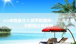 2020年度最佳大屏手机盘点，2021年大屏手机排行榜揭晓