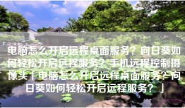 电脑怎么开启远程桌面服务？向日葵如何轻松开启远程服务？手机远程控制摄像头「电脑怎么开启远程桌面服务？向日葵如何轻松开启远程服务？」