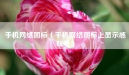 手机网络图标（手机网络图标上显示感叹号）