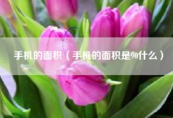 手机的面积（手机的面积是90什么）