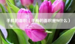 手机的面积（手机的面积是90什么）