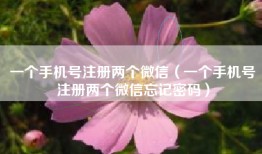 一个手机号注册两个微信（一个手机号注册两个微信忘记密码）