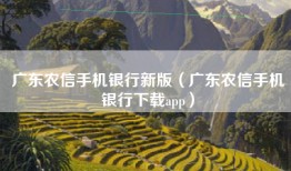 广东农信手机银行新版（广东农信手机银行下载app）