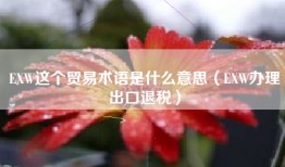 EXW这个贸易术语是什么意思（EXW办理出口退税）