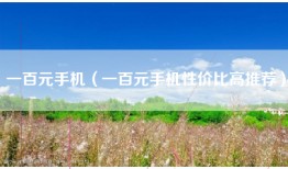 一百元手机（一百元手机性价比高推荐）