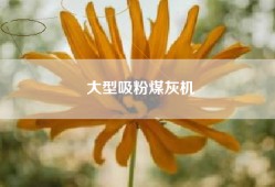 大型吸粉煤灰机