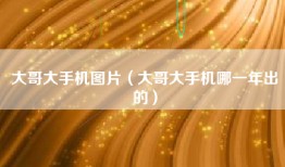 大哥大手机图片（大哥大手机哪一年出的）
