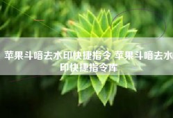 苹果斗喑去水印快捷指令 苹果斗喑去水印快捷指令库