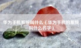 华为手机系统叫什么（华为手机的系统叫什么名字）
