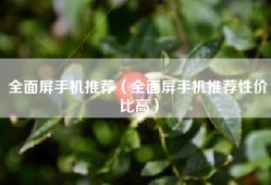 全面屏手机推荐（全面屏手机推荐性价比高）