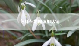 怎样在地图添加店铺