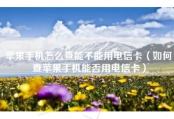 苹果手机怎么查能不能用电信卡（如何查苹果手机能否用电信卡）