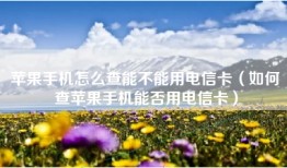 苹果手机怎么查能不能用电信卡（如何查苹果手机能否用电信卡）