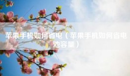 苹果手机如何省电（苹果手机如何省电池容量）