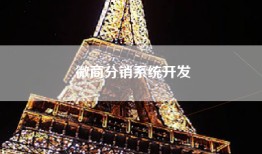 微商分销系统开发
